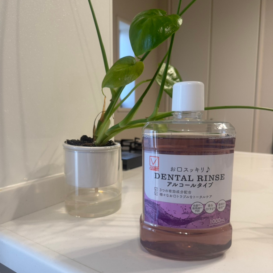 DENTAL RINSE アルコールタイプ - 商品のご案内 | V-check | 暮らしの